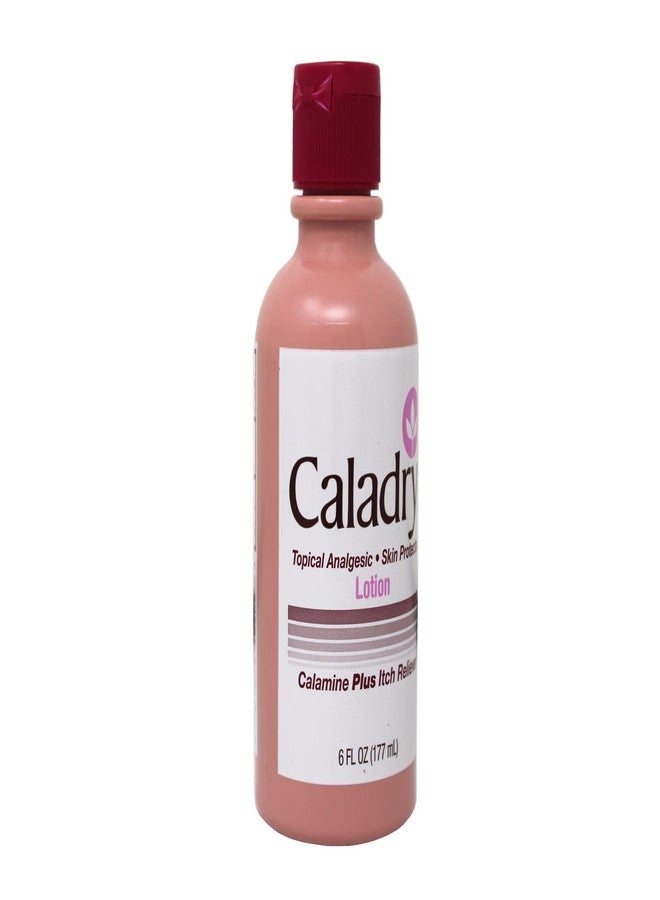 Caladryl Lotion Plus Itch Reliever 6 Fl Oz 3 Pack Deal - Image 3